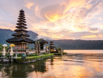 ELEGANT BALİ